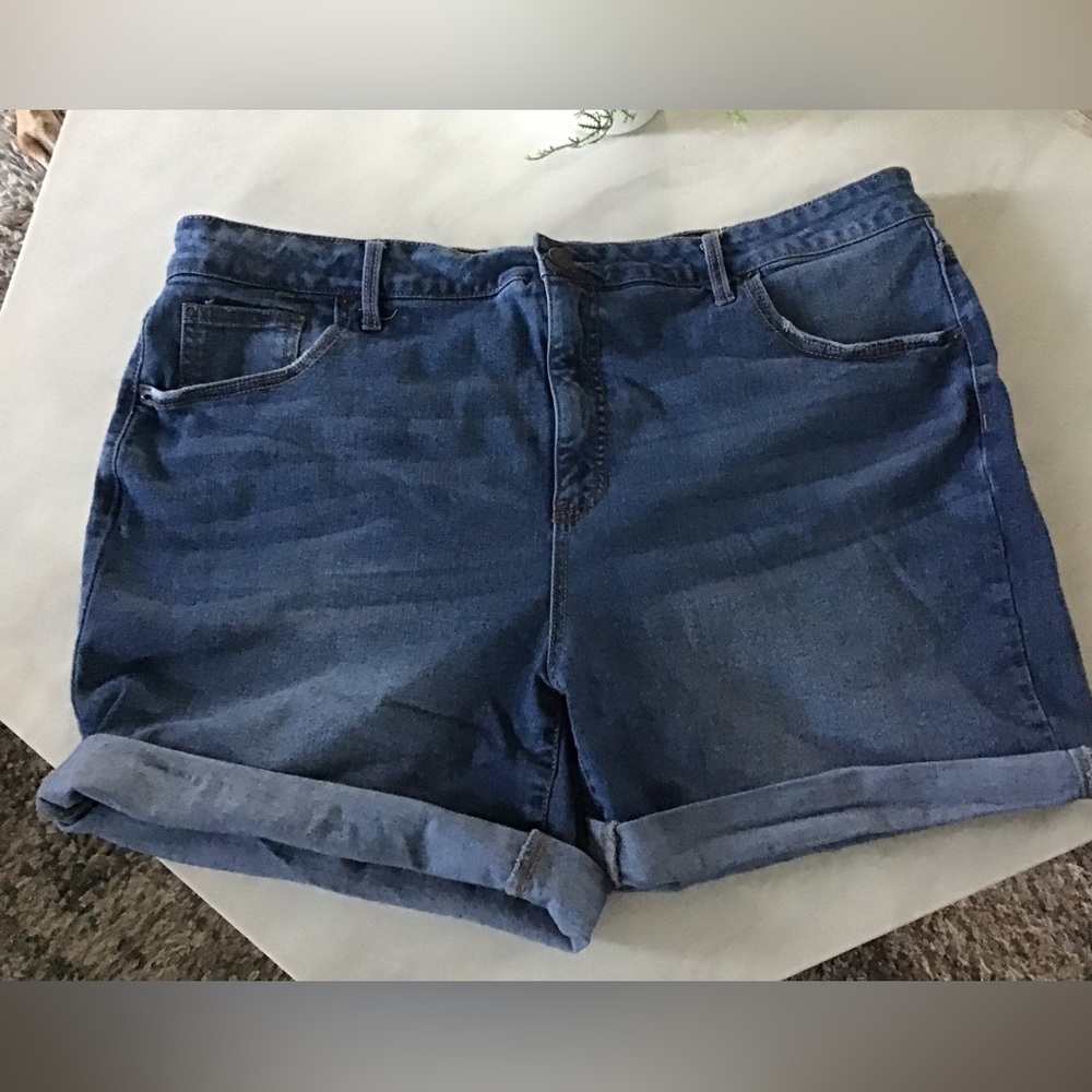 Terra & Sky 22W Jean shorts
